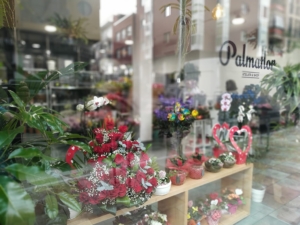 PALMAFLOR