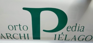 WhatsApp Image 2021-05-04 at 13.26.13