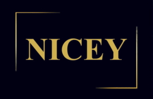 NICEY-LOGO-1